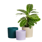 lex pott set 14cm fluweel crème